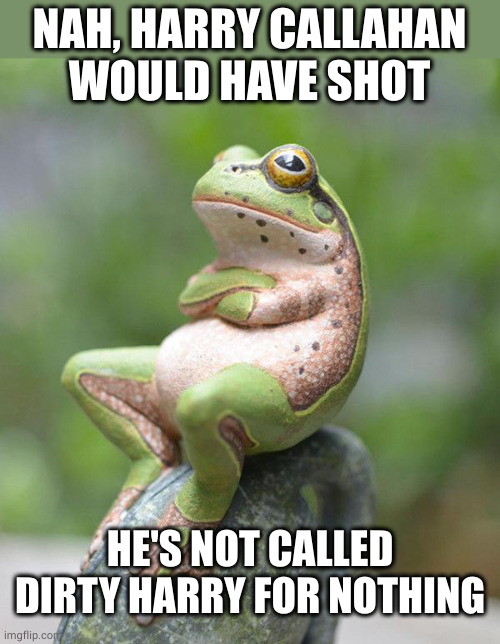 nah frog | NAH, HARRY CALLAHAN
WOULD HAVE SHOT HE'S NOT CALLED DIRTY HARRY FOR NOTHING | image tagged in nah frog | made w/ Imgflip meme maker