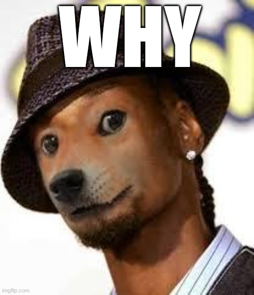 snoop doge.jipgpg | WHY | image tagged in snoop doge jipgpg | made w/ Imgflip meme maker