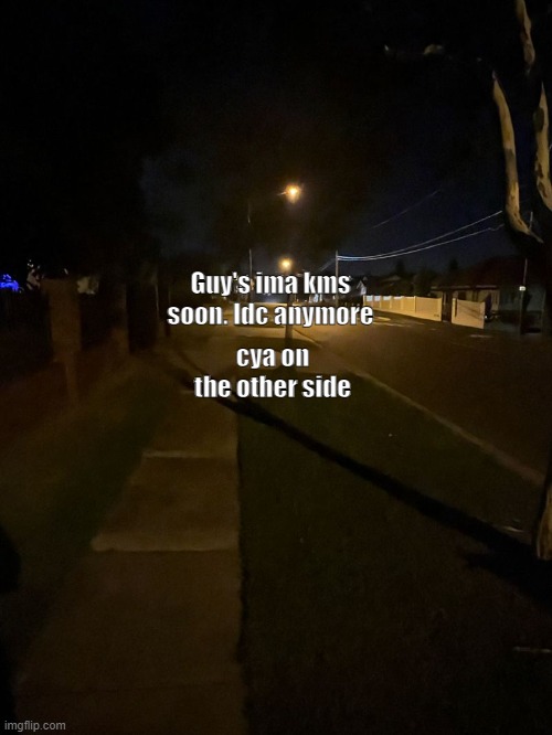 Late night walk | cya on the other side; Guy's ima kms soon. Idc anymore | image tagged in late night walk | made w/ Imgflip meme maker