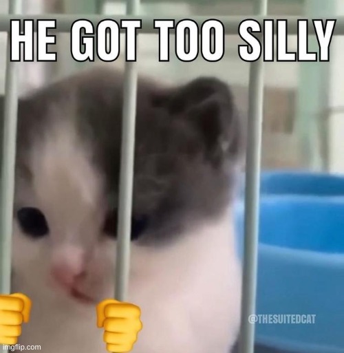 he got too silly | image tagged in he got too silly | made w/ Imgflip meme maker