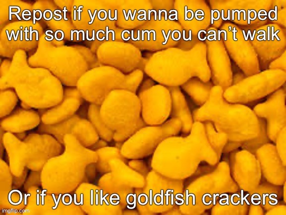 Goldfish are cool ig but the other option sounds more filling | image tagged in goldfish crackers | made w/ Imgflip meme maker