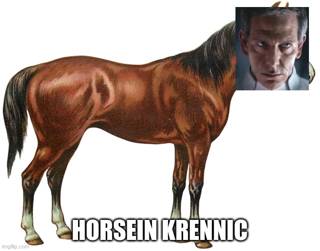 Ors | HORSEIN KRENNIC | image tagged in funny memes | made w/ Imgflip meme maker