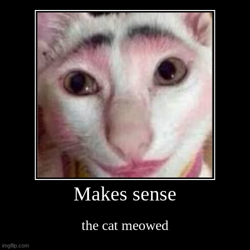 the cat meowed | Makes sense | the cat meowed | image tagged in funny,demotivationals | made w/ Imgflip demotivational maker