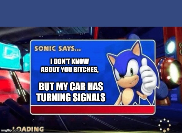 Sonic Says | I DON'T KNOW ABOUT YOU BITCHES, BUT MY CAR HAS
TURNING SIGNALS | image tagged in sonic says | made w/ Imgflip meme maker