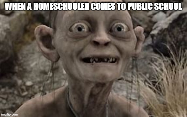 WHEN A HOMESCHOOLER COMES TO PUBLIC SCHOOL | made w/ Imgflip meme maker