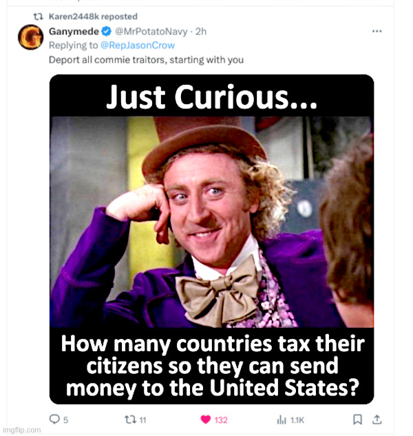 Just Curious, Isn't It? | image tagged in they,tax,us,for,foreigners | made w/ Imgflip meme maker
