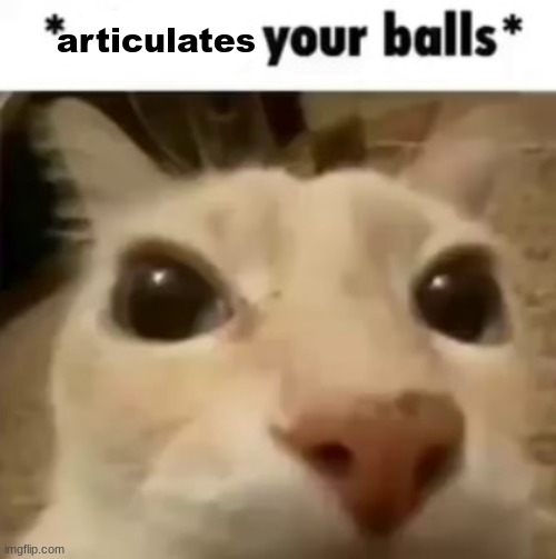 X your balls | articulates | image tagged in x your balls | made w/ Imgflip meme maker