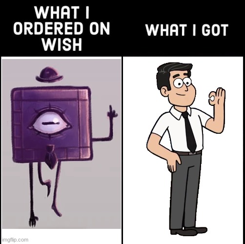 Tad Strange and Tad Strange | image tagged in what i ordered on wish and what i got,gravity falls | made w/ Imgflip meme maker