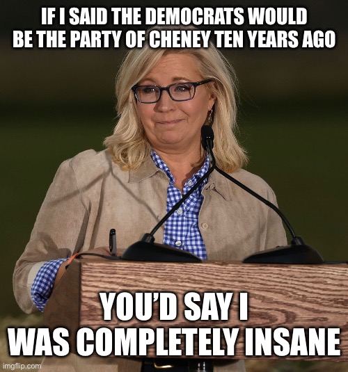 IF I SAID THE DEMOCRATS WOULD BE THE PARTY OF CHENEY TEN YEARS AGO; YOU’D SAY I WAS COMPLETELY INSANE | image tagged in memes,funny,new normal,liberal hypocrisy,donald trump | made w/ Imgflip meme maker