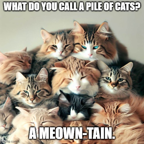 Daily Bad Dad Joke April 22, 2024 | WHAT DO YOU CALL A PILE OF CATS? A MEOWN-TAIN. | image tagged in pile of cats | made w/ Imgflip meme maker