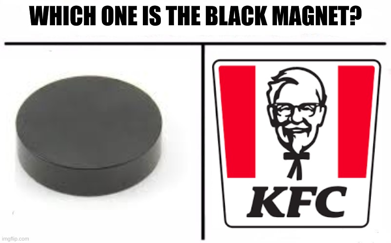The magnet is kinda grey but you get the point | WHICH ONE IS THE BLACK MAGNET? | image tagged in who would win blank,kfc,black,fried chicken | made w/ Imgflip meme maker