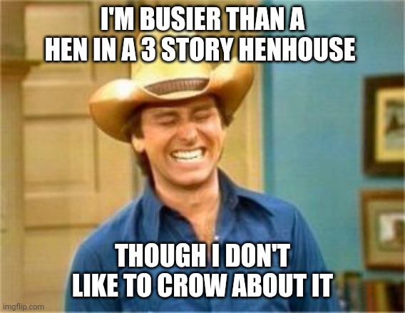Busier than a hen | I'M BUSIER THAN A HEN IN A 3 STORY HENHOUSE; THOUGH I DON'T LIKE TO CROW ABOUT IT | image tagged in funny memes | made w/ Imgflip meme maker