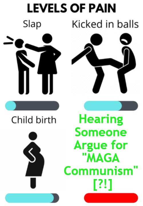 "MAGA Communism"? Just How -Say What?!- Do These 2020s Plan to Get...? | Hearing 

Someone 

Argue for 

"MAGA 

Communism" 

[?!] | image tagged in you keep using that term,maga communism,say what again,logic,ignorance,clown world | made w/ Imgflip meme maker