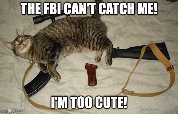 "halloween costume" | THE FBI CAN'T CATCH ME! I'M TOO CUTE! | image tagged in halloween costume | made w/ Imgflip meme maker