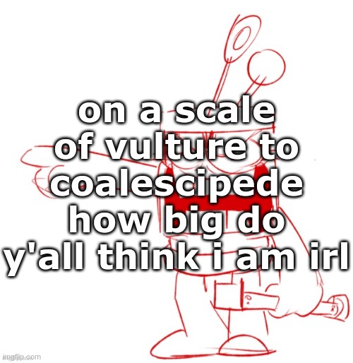 RRRAGGGGHHHHH!!!!!!!!!!!!!!!!!!!!!!!!!!!!!!!!!!!!!!!!!!! | on a scale of vulture to coalescipede how big do y'all think i am irl | image tagged in rrragggghhhhh | made w/ Imgflip meme maker