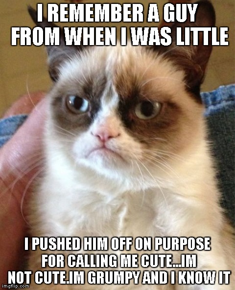 Grumpy Cat Meme | I REMEMBER A GUY FROM WHEN I WAS LITTLE I PUSHED HIM OFF ON PURPOSE FOR CALLING ME CUTE...IM NOT CUTE.IM GRUMPY AND I KNOW IT | image tagged in memes,grumpy cat | made w/ Imgflip meme maker