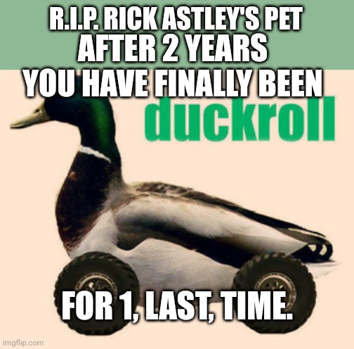 Salutes to him. | R.I.P. RICK ASTLEY'S PET; AFTER 2 YEARS YOU HAVE FINALLY BEEN; FOR 1, LAST, TIME. | image tagged in duckroll,memes,salute,rip | made w/ Imgflip meme maker