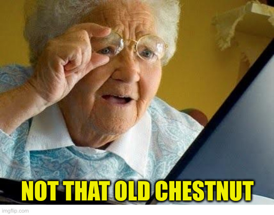 old lady at computer | NOT THAT OLD CHESTNUT | image tagged in old lady at computer | made w/ Imgflip meme maker