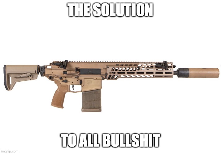 The second amendment for dummies | THE SOLUTION; TO ALL BULLSHIT | image tagged in memes,badass | made w/ Imgflip meme maker
