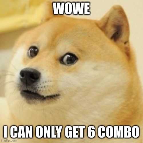 WOWE I CAN ONLY GET 6 COMBO | image tagged in wow doge | made w/ Imgflip meme maker