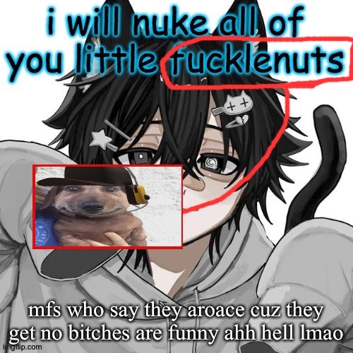chucklenut | mfs who say they aroace cuz they get no bitches are funny ahh hell lmao | image tagged in chucklenut | made w/ Imgflip meme maker