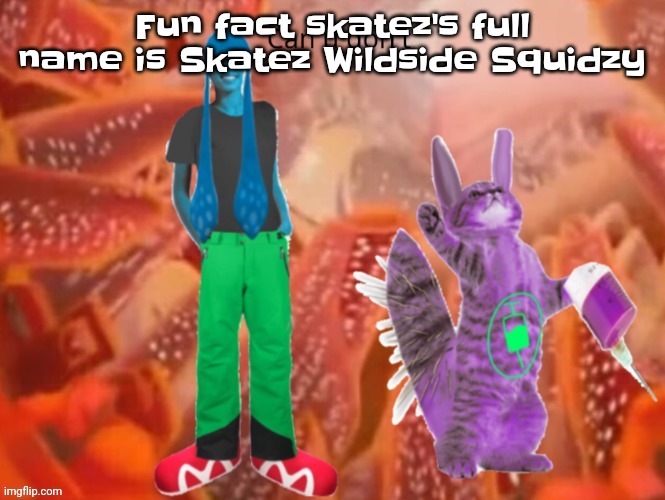 Half yall didn't know that | Fu​​n fact skatez's full name is Skatez Wildside Squidzy | image tagged in can u don't | made w/ Imgflip meme maker