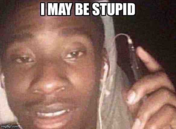 I may be stupid | image tagged in i may be stupid | made w/ Imgflip meme maker