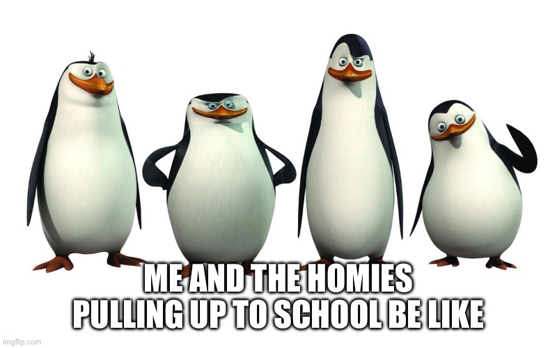 In general we’re dumbasses | ME AND THE HOMIES PULLING UP TO SCHOOL BE LIKE | image tagged in madagascar penguins | made w/ Imgflip meme maker