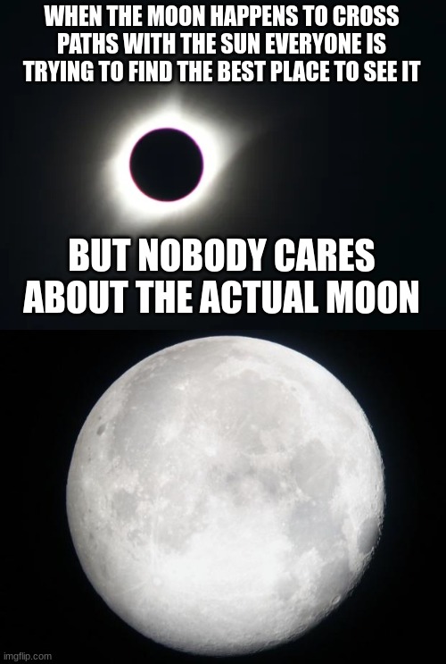 WHEN THE MOON HAPPENS TO CROSS PATHS WITH THE SUN EVERYONE IS TRYING TO FIND THE BEST PLACE TO SEE IT; BUT NOBODY CARES ABOUT THE ACTUAL MOON | image tagged in full moon | made w/ Imgflip meme maker