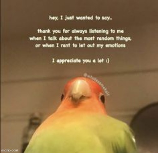Thank you. | image tagged in thank you | made w/ Imgflip meme maker