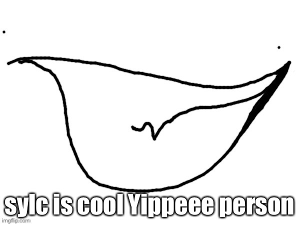 felt like sayin it | sylc is cool Yippeee person | image tagged in yopee | made w/ Imgflip meme maker
