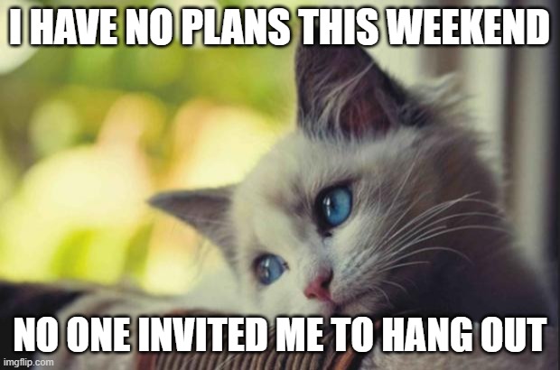 I never go out | I HAVE NO PLANS THIS WEEKEND; NO ONE INVITED ME TO HANG OUT | image tagged in sad cat,no social life,alone,people do not like me,sad introvert | made w/ Imgflip meme maker