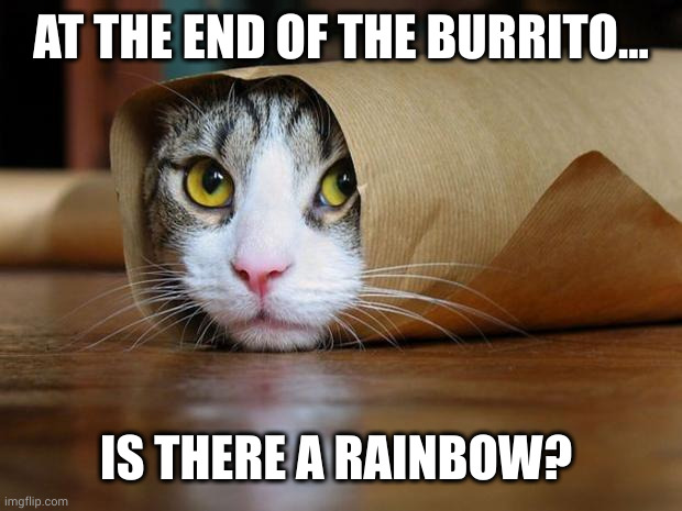 What's at the end of the burrito? | AT THE END OF THE BURRITO... IS THERE A RAINBOW? | image tagged in burrito cat,memes,alice in wonderland,cat,discovering something that doesn't exist,yummy | made w/ Imgflip meme maker