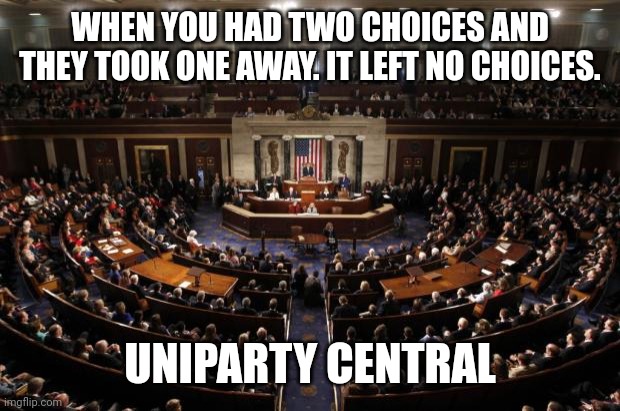 congress | WHEN YOU HAD TWO CHOICES AND THEY TOOK ONE AWAY. IT LEFT NO CHOICES. UNIPARTY CENTRAL | image tagged in congress | made w/ Imgflip meme maker