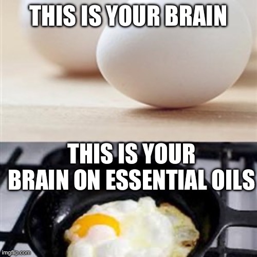 Brain, Brain on Drugs (egg) | THIS IS YOUR BRAIN; THIS IS YOUR BRAIN ON ESSENTIAL OILS | image tagged in brain brain on drugs egg | made w/ Imgflip meme maker