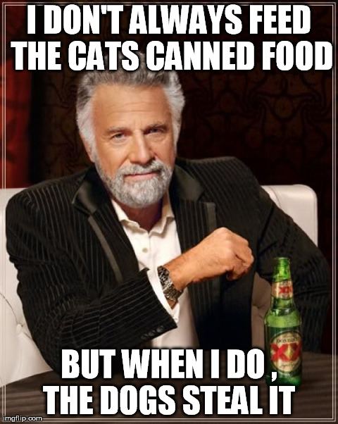 The Most Interesting Man In The World Meme | I DON'T ALWAYS FEED THE CATS CANNED FOOD BUT WHEN I DO , THE DOGS STEAL IT | image tagged in memes,the most interesting man in the world | made w/ Imgflip meme maker