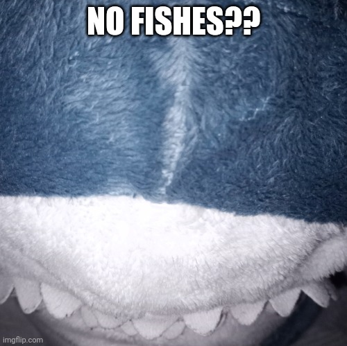 blåhaj megamind | NO FISHES?? | image tagged in bl haj megamind | made w/ Imgflip meme maker