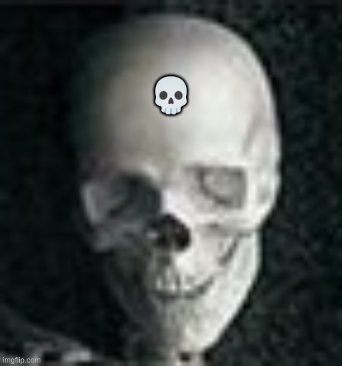 Skull | ? | image tagged in skull | made w/ Imgflip meme maker