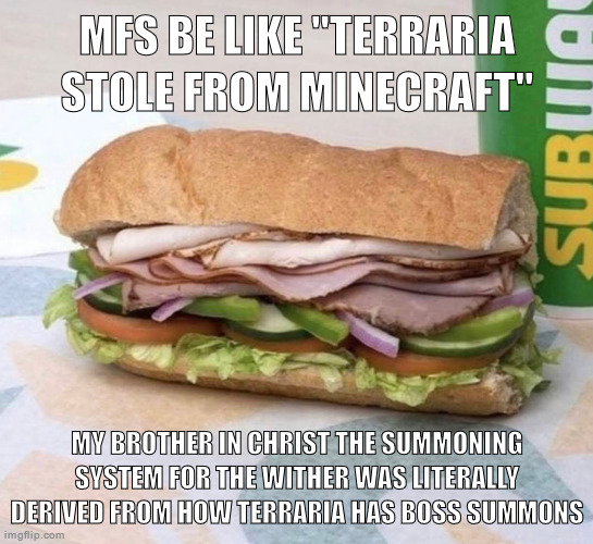 Subway sandwich | MFS BE LIKE "TERRARIA STOLE FROM MINECRAFT"; MY BROTHER IN CHRIST THE SUMMONING SYSTEM FOR THE WITHER WAS LITERALLY DERIVED FROM HOW TERRARIA HAS BOSS SUMMONS | image tagged in subway sandwich | made w/ Imgflip meme maker