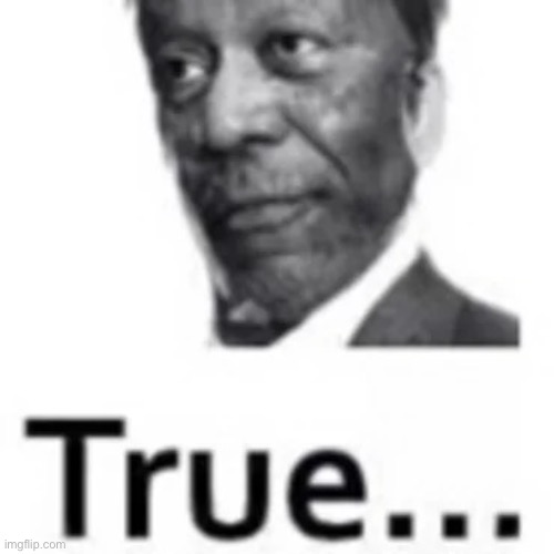 true morgan freeman | image tagged in true morgan freeman | made w/ Imgflip meme maker