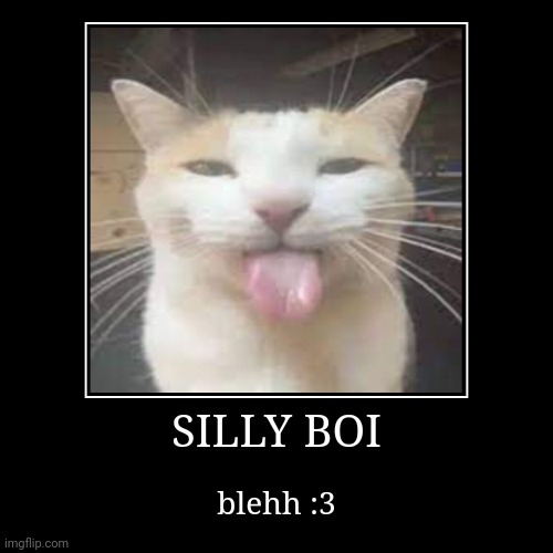 cat | SILLY BOI | blehh :3 | image tagged in funny,demotivationals,goofy ahh,cat,silly | made w/ Imgflip demotivational maker
