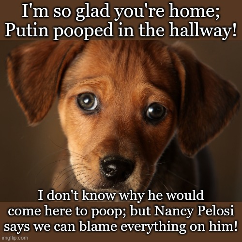 Putin Pooped in the Hallway | I'm so glad you're home;
Putin pooped in the hallway! I don't know why he would come here to poop; but Nancy Pelosi says we can blame everything on him! | image tagged in politics,comedy,satire,truth | made w/ Imgflip meme maker