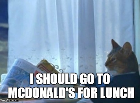 I Should Buy A Boat Cat Meme | I SHOULD GO TO MCDONALD'S FOR LUNCH | image tagged in memes,i should buy a boat cat | made w/ Imgflip meme maker