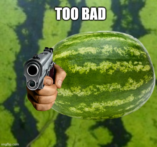 Watermelon wall | TOO BAD | image tagged in watermelon wall | made w/ Imgflip meme maker