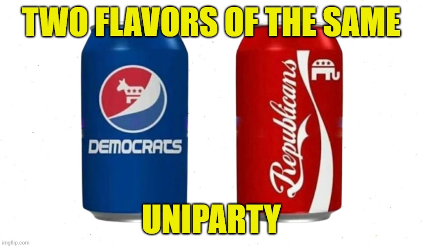 Uni Party | TWO FLAVORS OF THE SAME; UNIPARTY | image tagged in they're the same picture,they are the same picture,dnc,rnc,government corruption,politicians | made w/ Imgflip meme maker