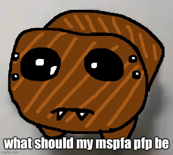 if you don’t know what mspfa is just give me a pfp idea or image | what should my mspfa pfp be | image tagged in spdr hampter | made w/ Imgflip meme maker