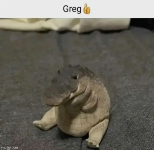 Greg ? | image tagged in greg | made w/ Imgflip meme maker