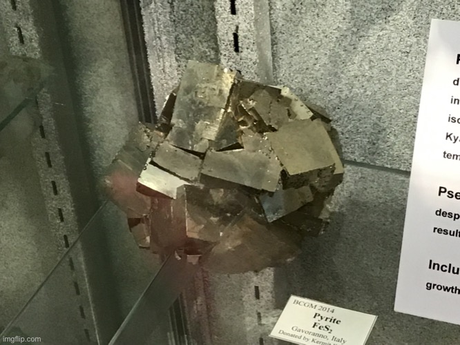 Fools gold :D | made w/ Imgflip meme maker