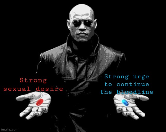 REDPILLBLUEPILL | Strong urge to continue the bloodline; Strong sexual desire | image tagged in redpillbluepill | made w/ Imgflip meme maker