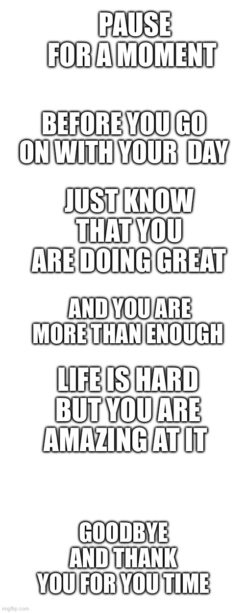 Have a good day | PAUSE FOR A MOMENT; BEFORE YOU GO ON WITH YOUR  DAY; JUST KNOW THAT YOU ARE DOING GREAT; AND YOU ARE MORE THAN ENOUGH; LIFE IS HARD BUT YOU ARE AMAZING AT IT; GOODBYE AND THANK YOU FOR YOU TIME | image tagged in funny | made w/ Imgflip meme maker